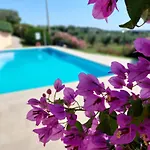 Nido Dell'arte - Regarda Travel Apartman *