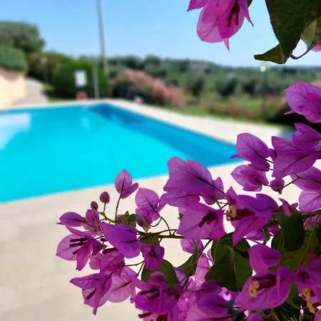 Nido Dell'arte - Regarda Travel Apartment *