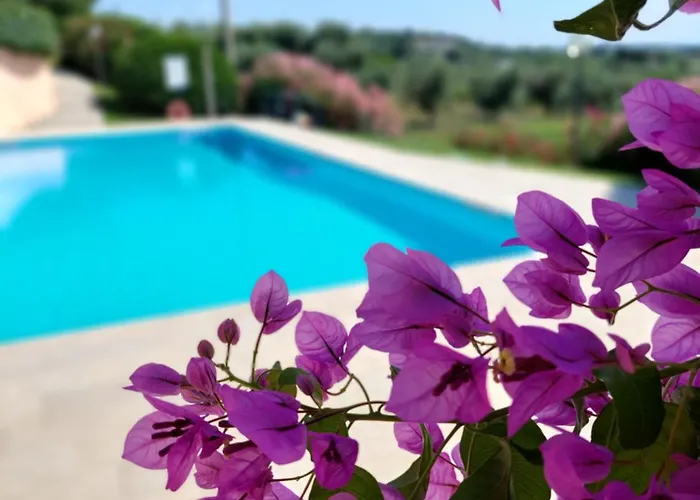 Nido Dell'arte - Regarda Travel Daire *